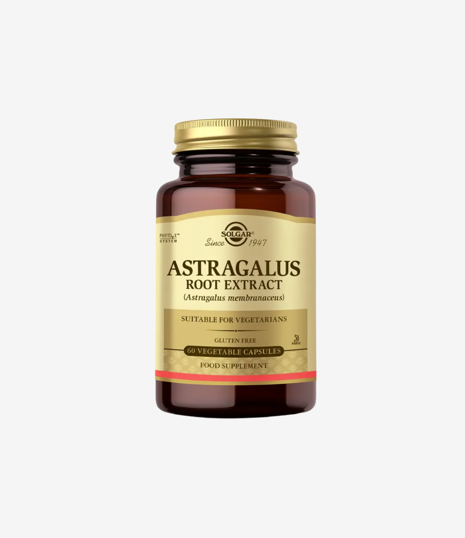 Astragalus Root Extract 60 Kapsül