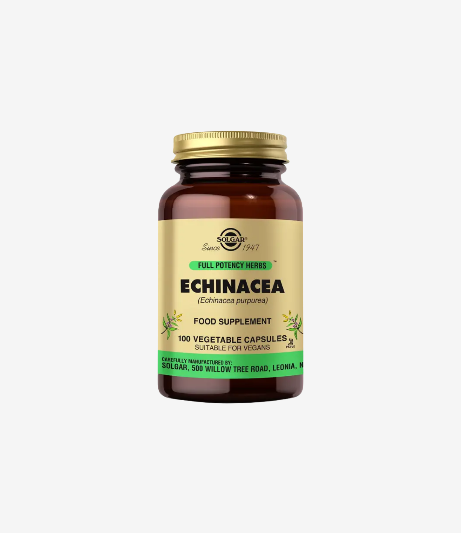Echinacea 100 Kapsül