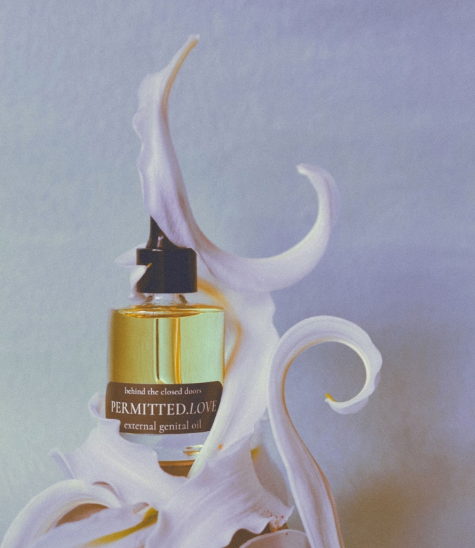 Behind the Closed Doors