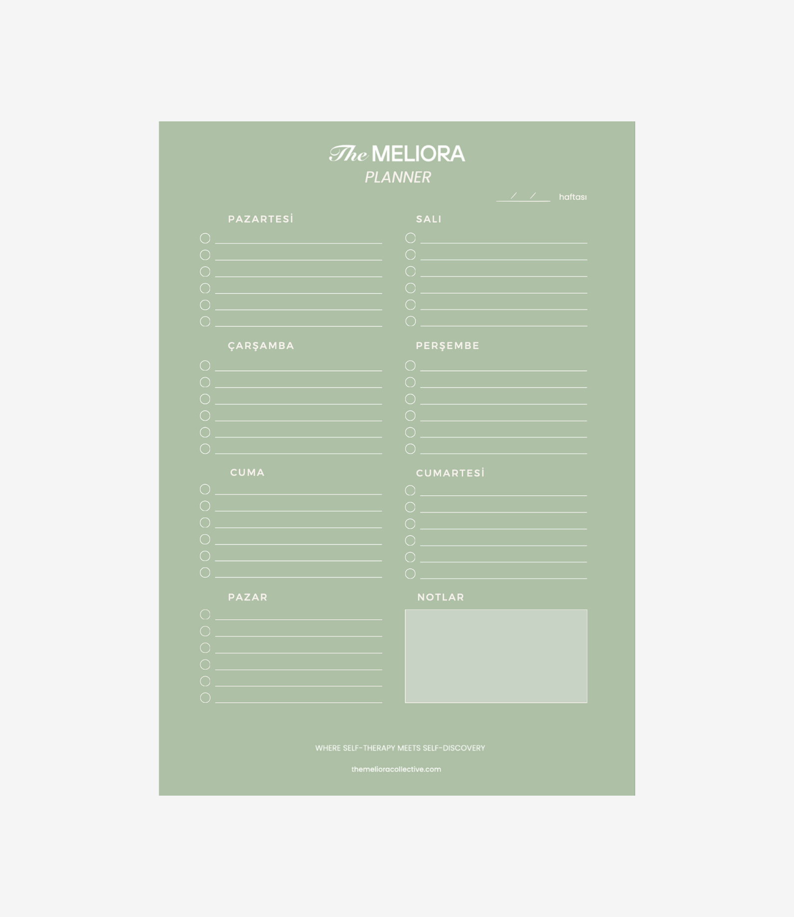 The Meliora Planner