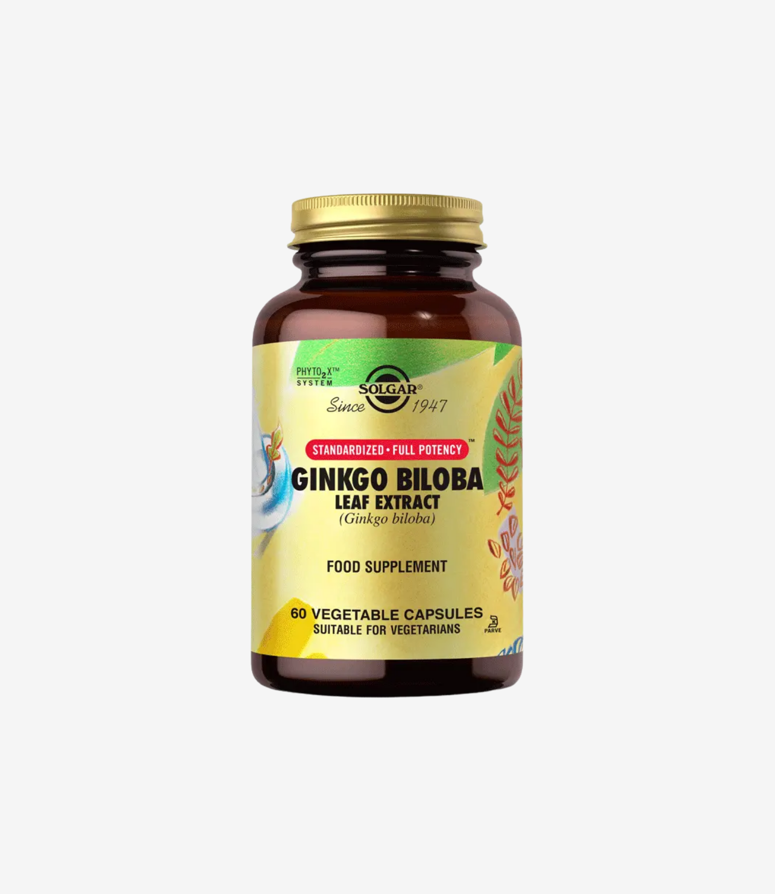 Ginkgo Biloba Leaf Extract 60 Kapsül