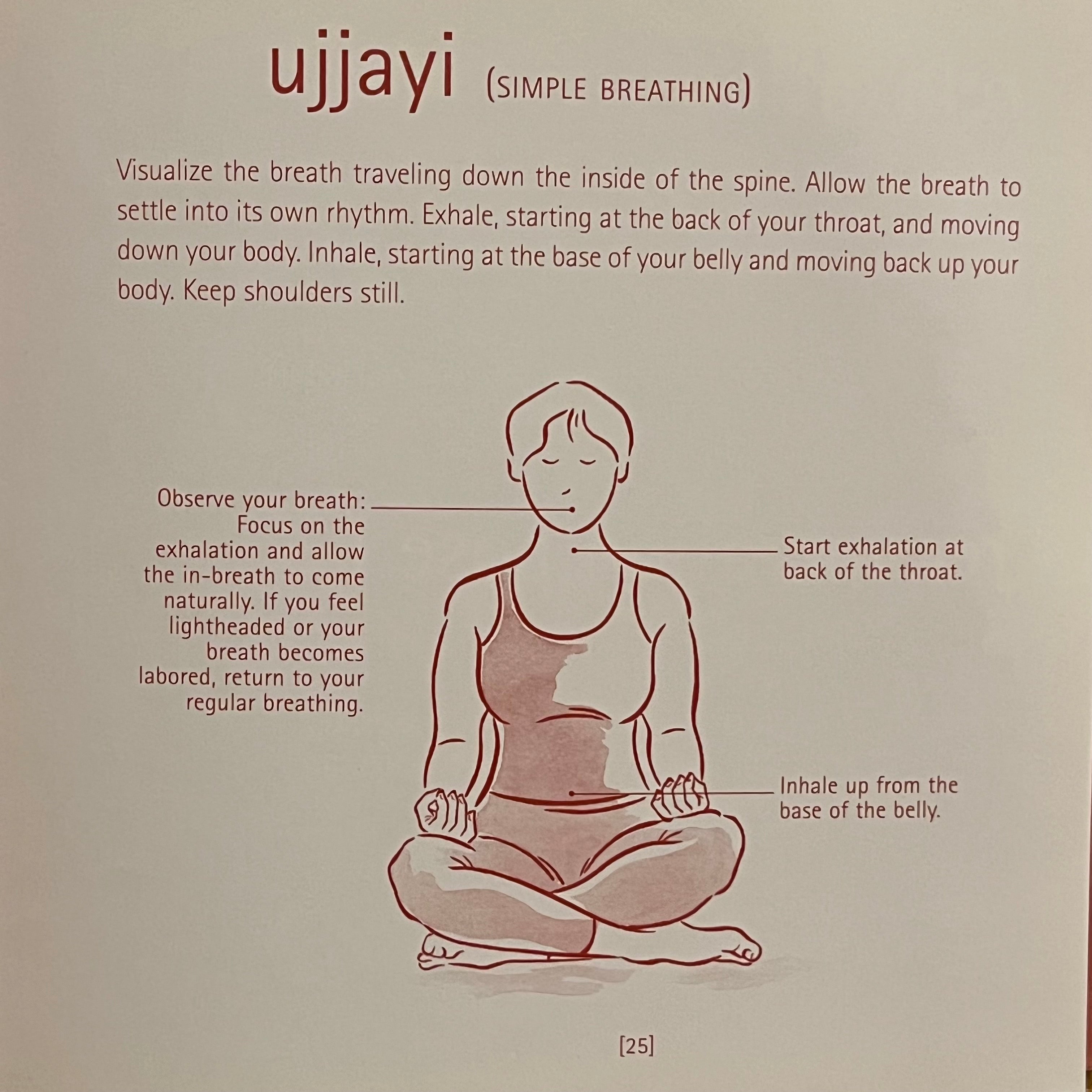 Yoga Year a Seasonal Guide to Asanas Breathing Exercises and Inspiration