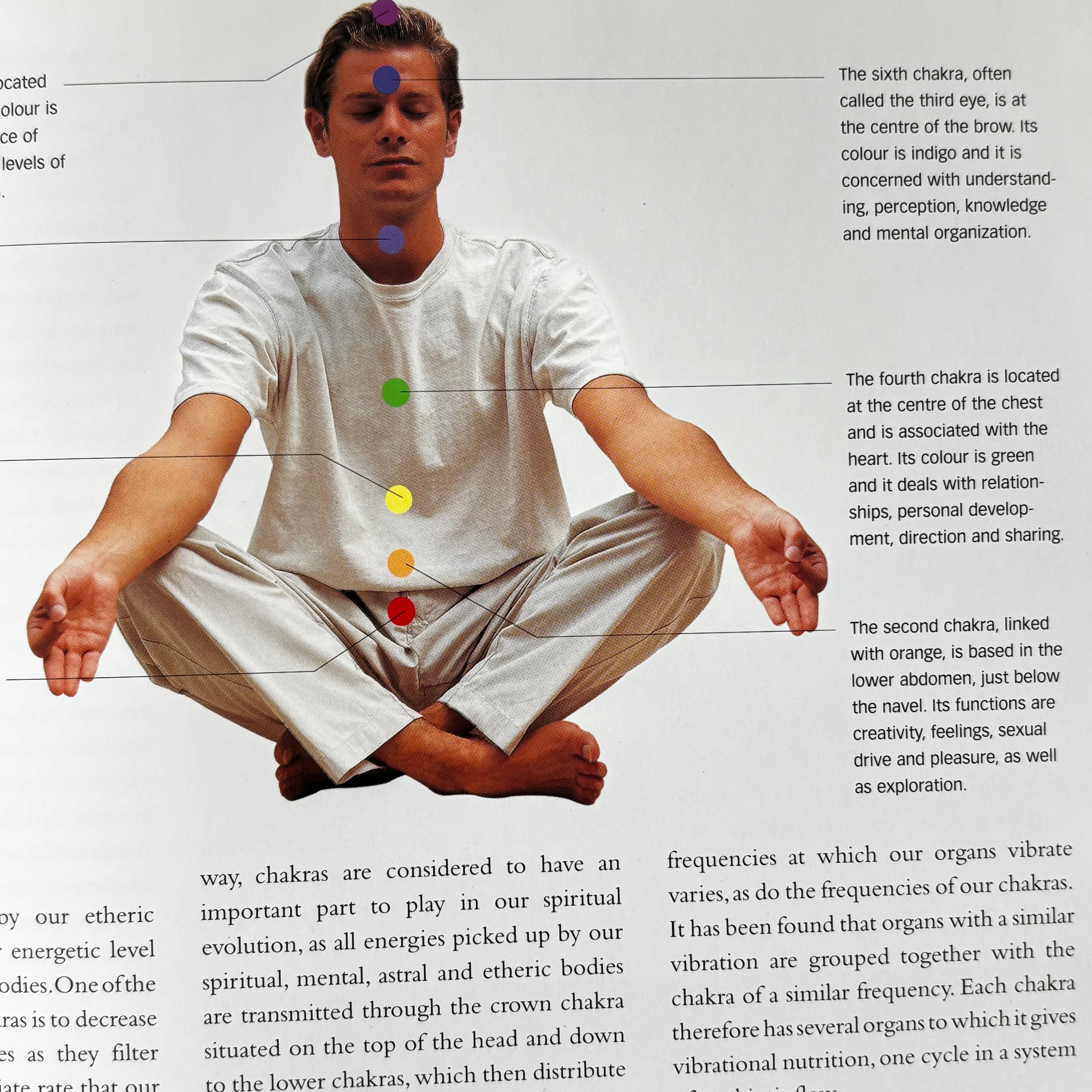 Reiki Healing: How to Channel the Power of Universal Love