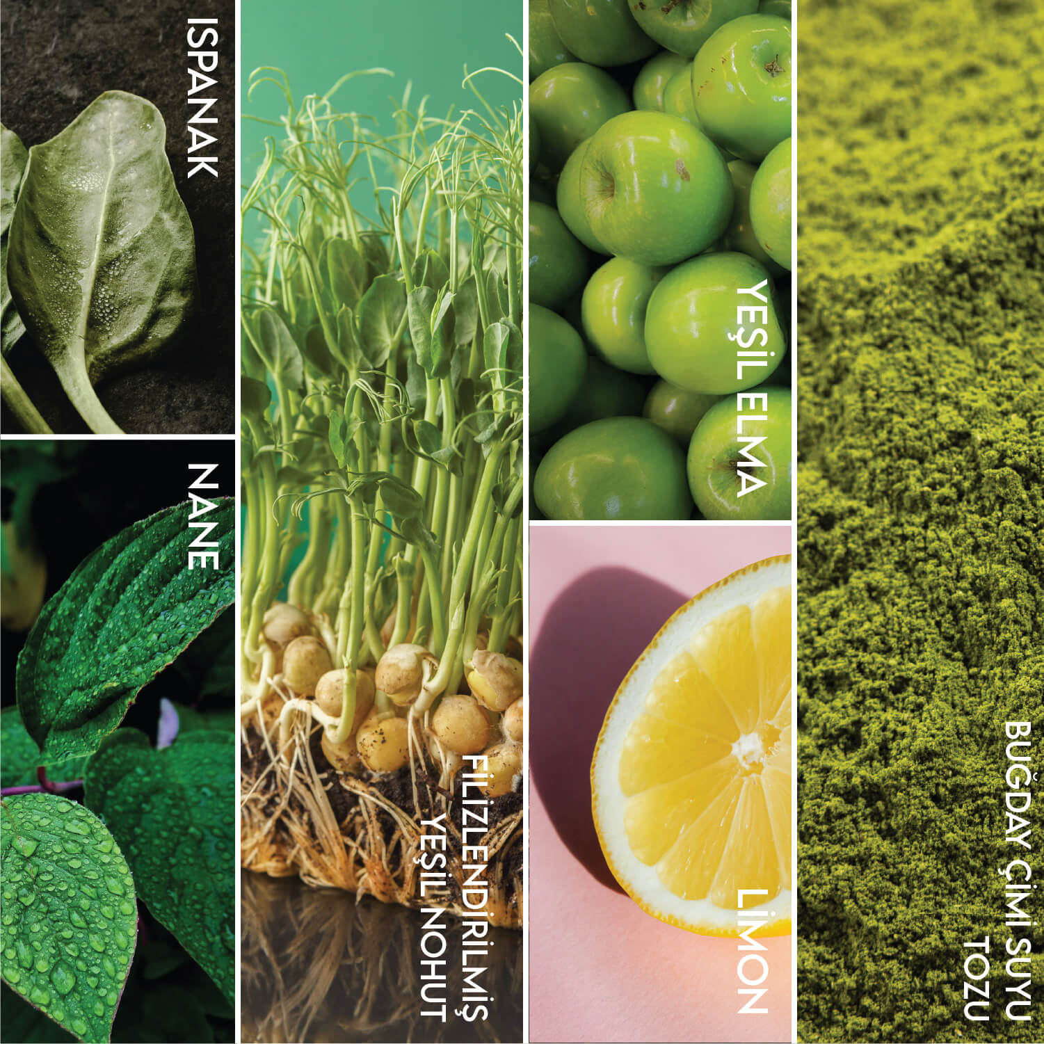 Green Mix Büyük Boy