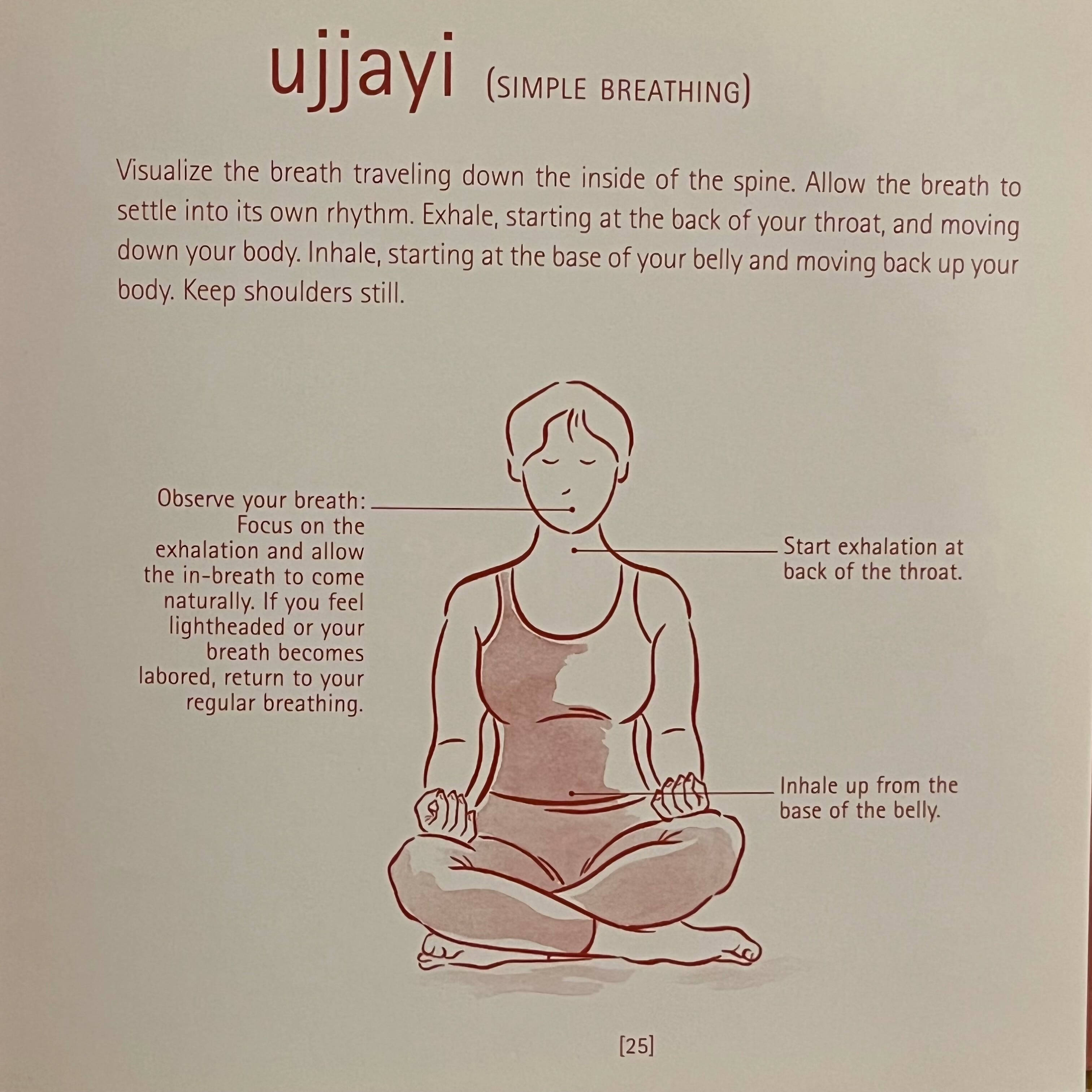 Yoga Year a Seasonal Guide to Asanas Breathing Exercises and Inspiration