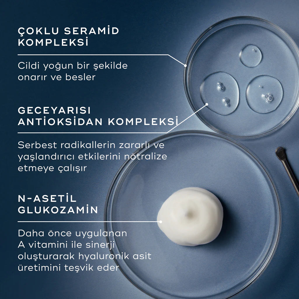 Advanced Night Restore Cream