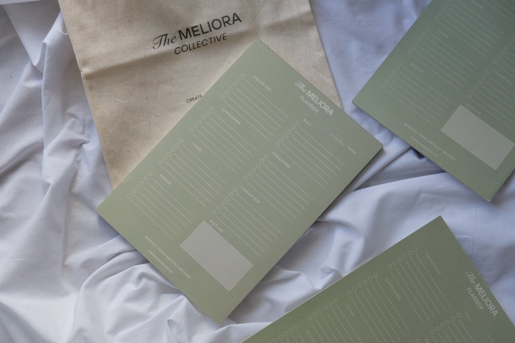 The Meliora Planner