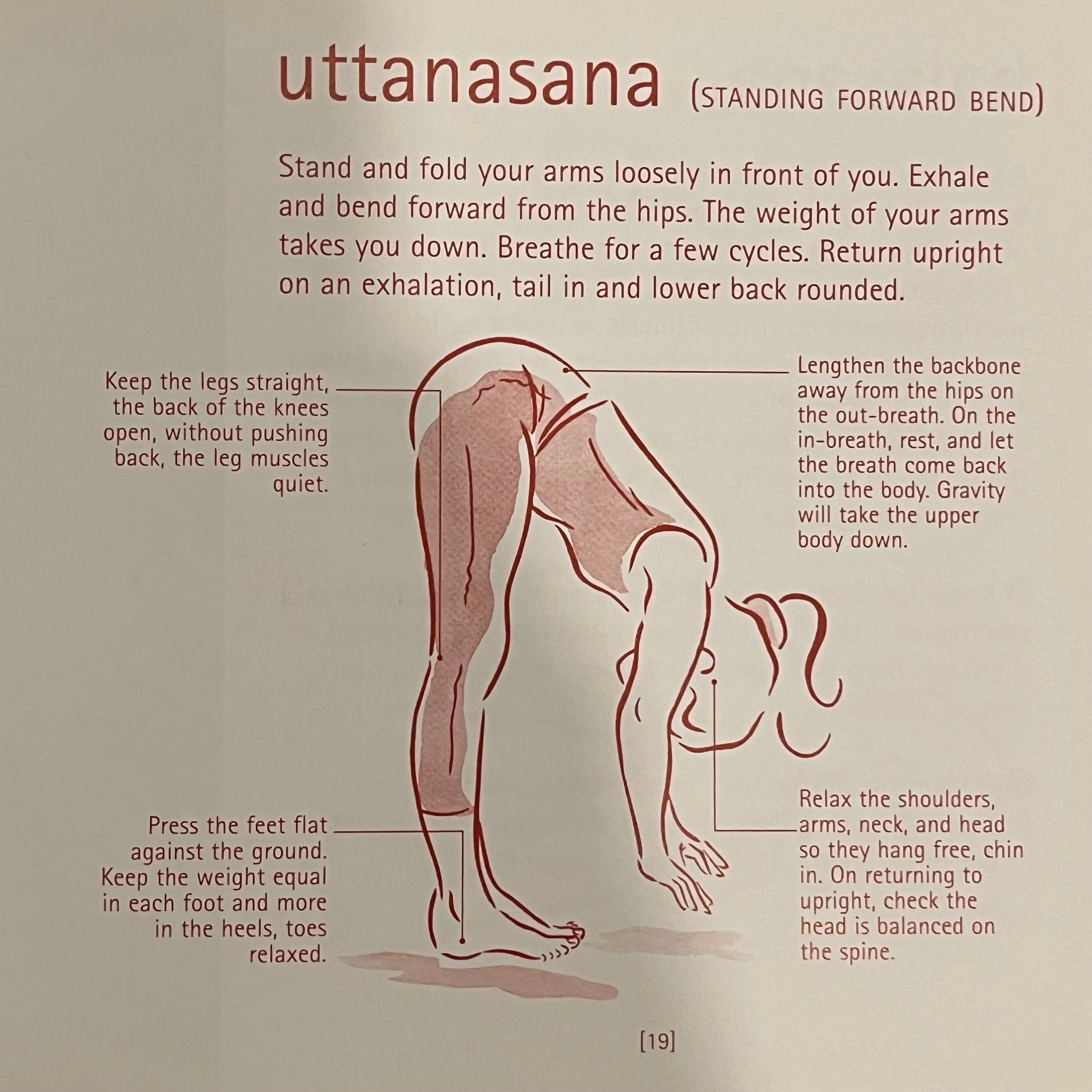 Yoga Year a Seasonal Guide to Asanas Breathing Exercises and Inspiration