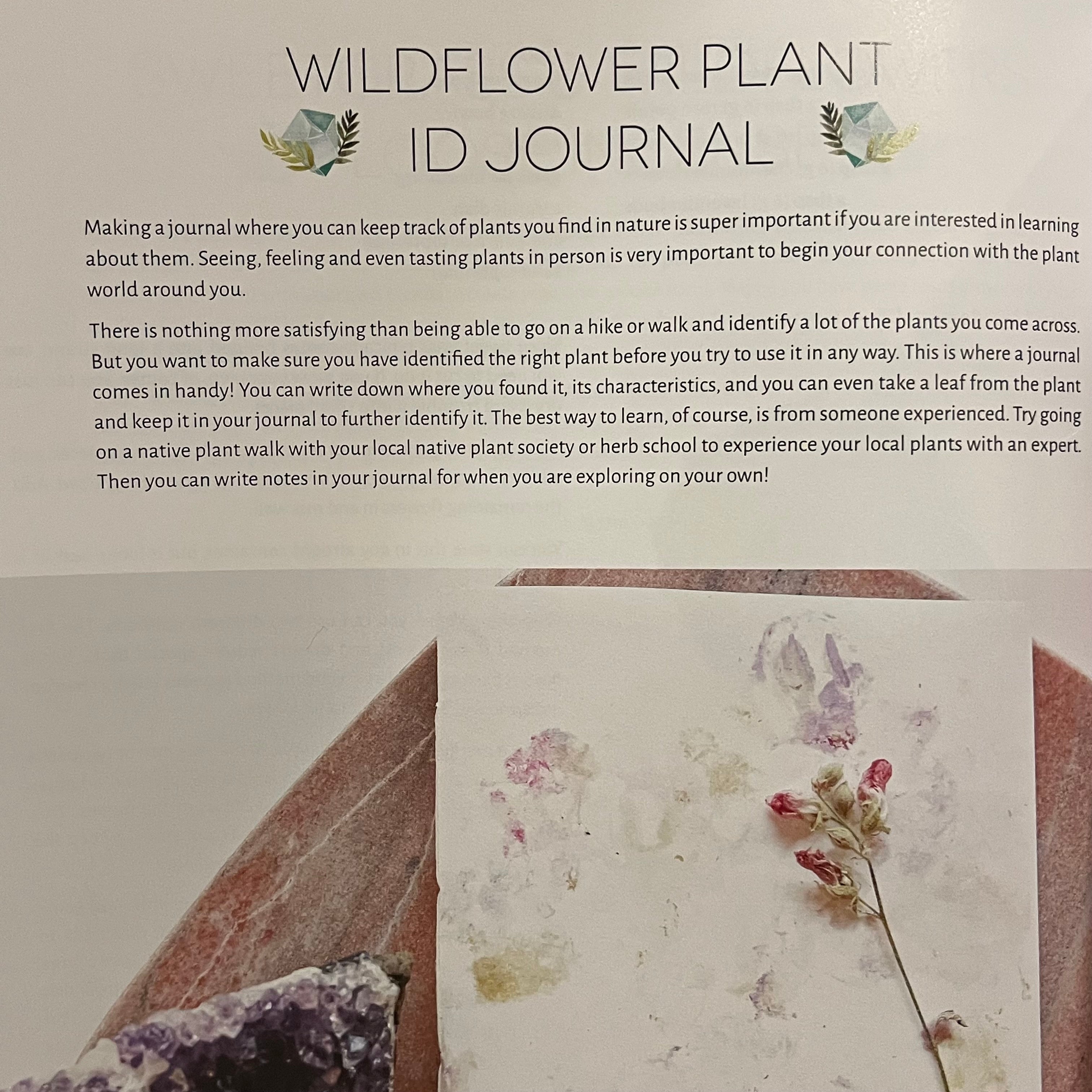Herbs And Crystals DIY: Use Plant Medicine And Crystal Energy To Heal The Mind And Body