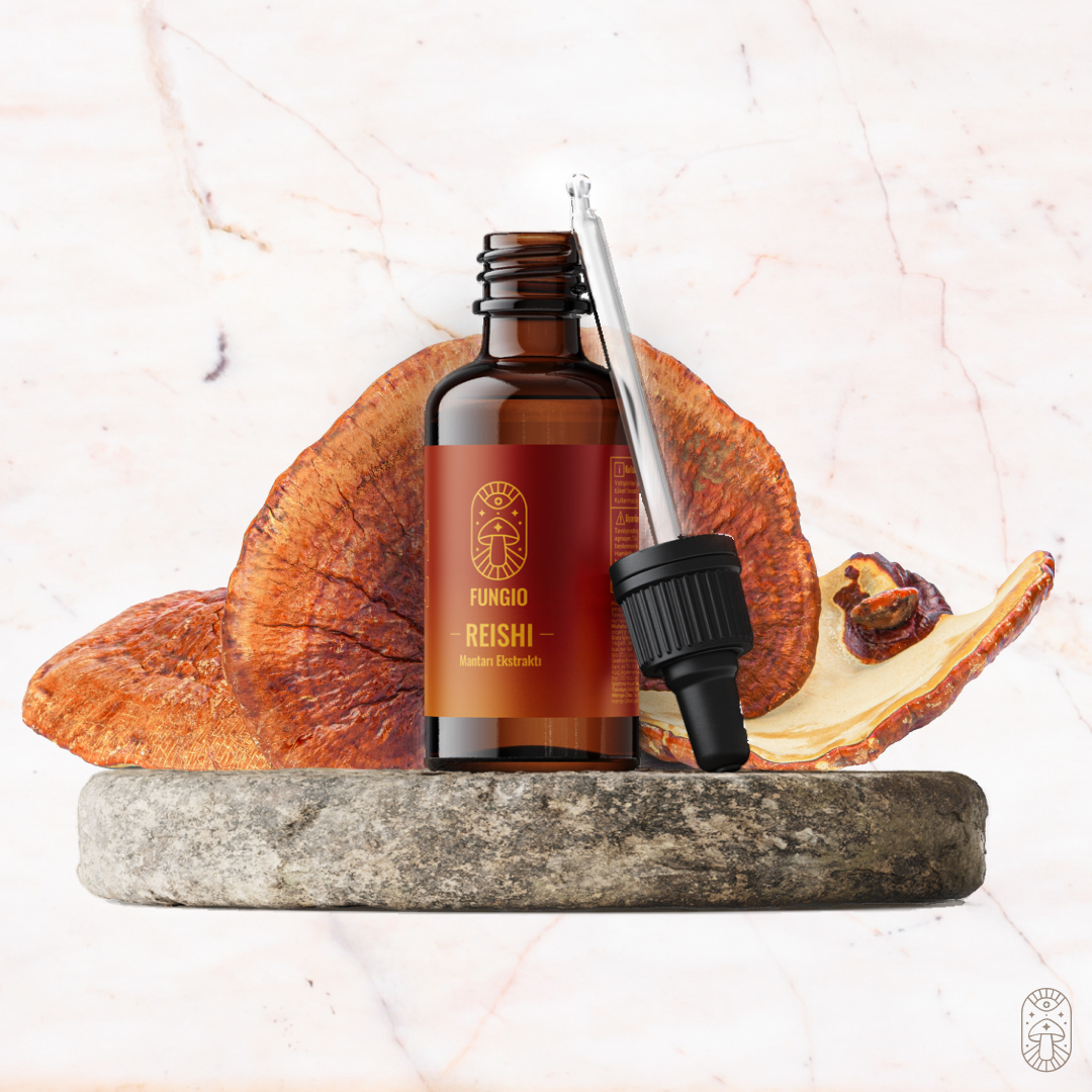 Reishi