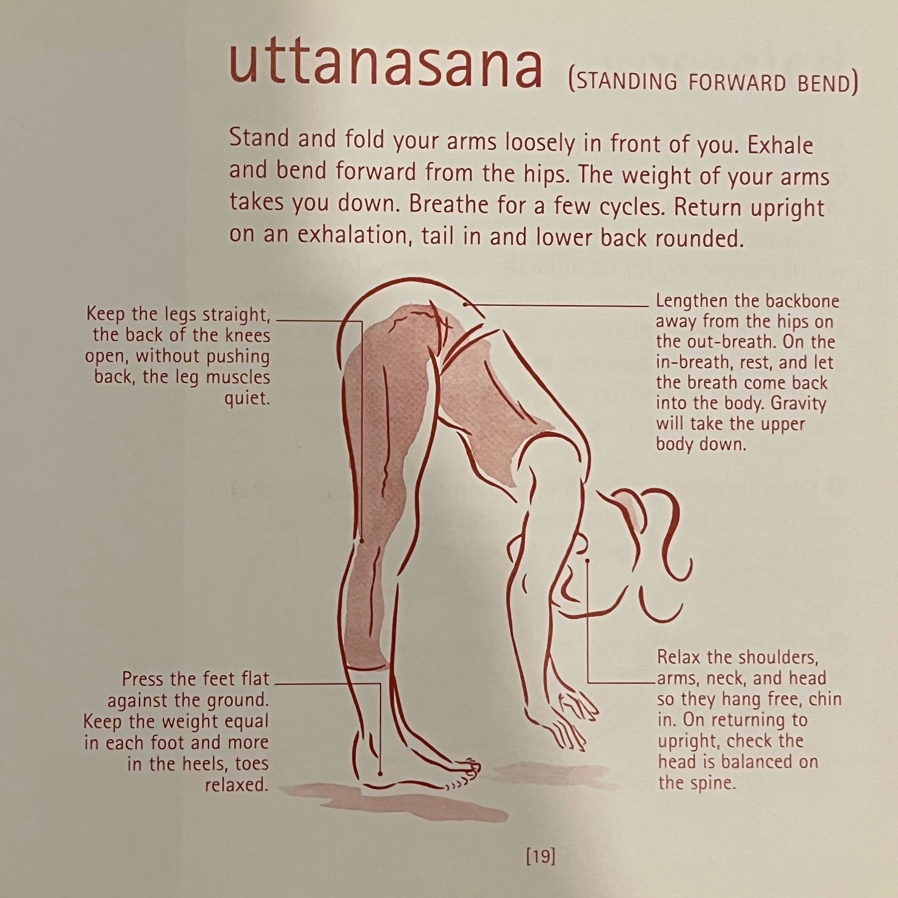 Yoga Year a Seasonal Guide to Asanas Breathing Exercises and Inspiration