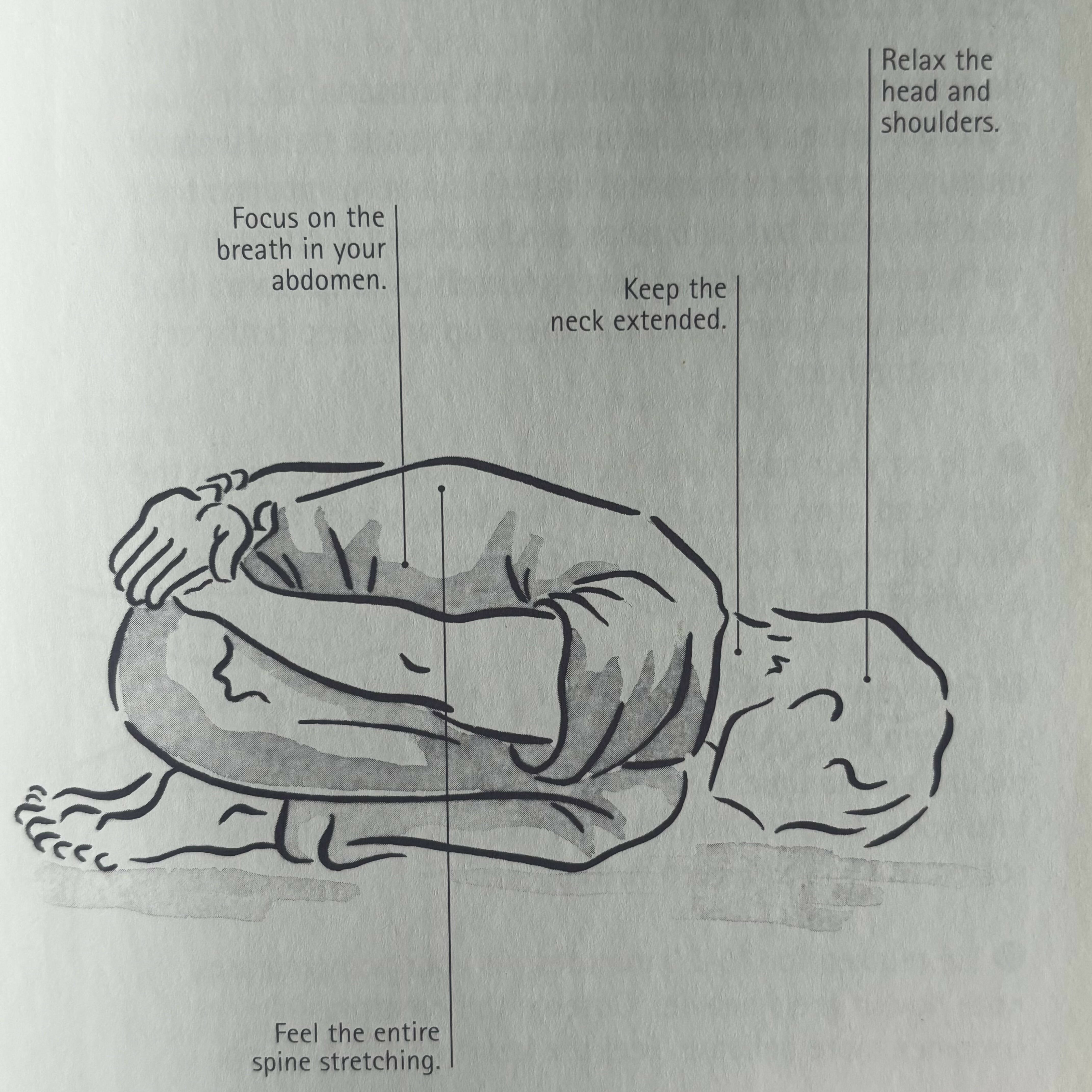 Ayurveda Year: A Seasonal Guide to Nutrition, Yoga, and Healing