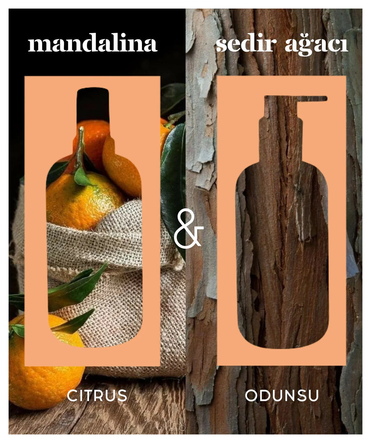 Saf Sıvı Kastil Sabunu - Mandarin & Cedar 250 ml