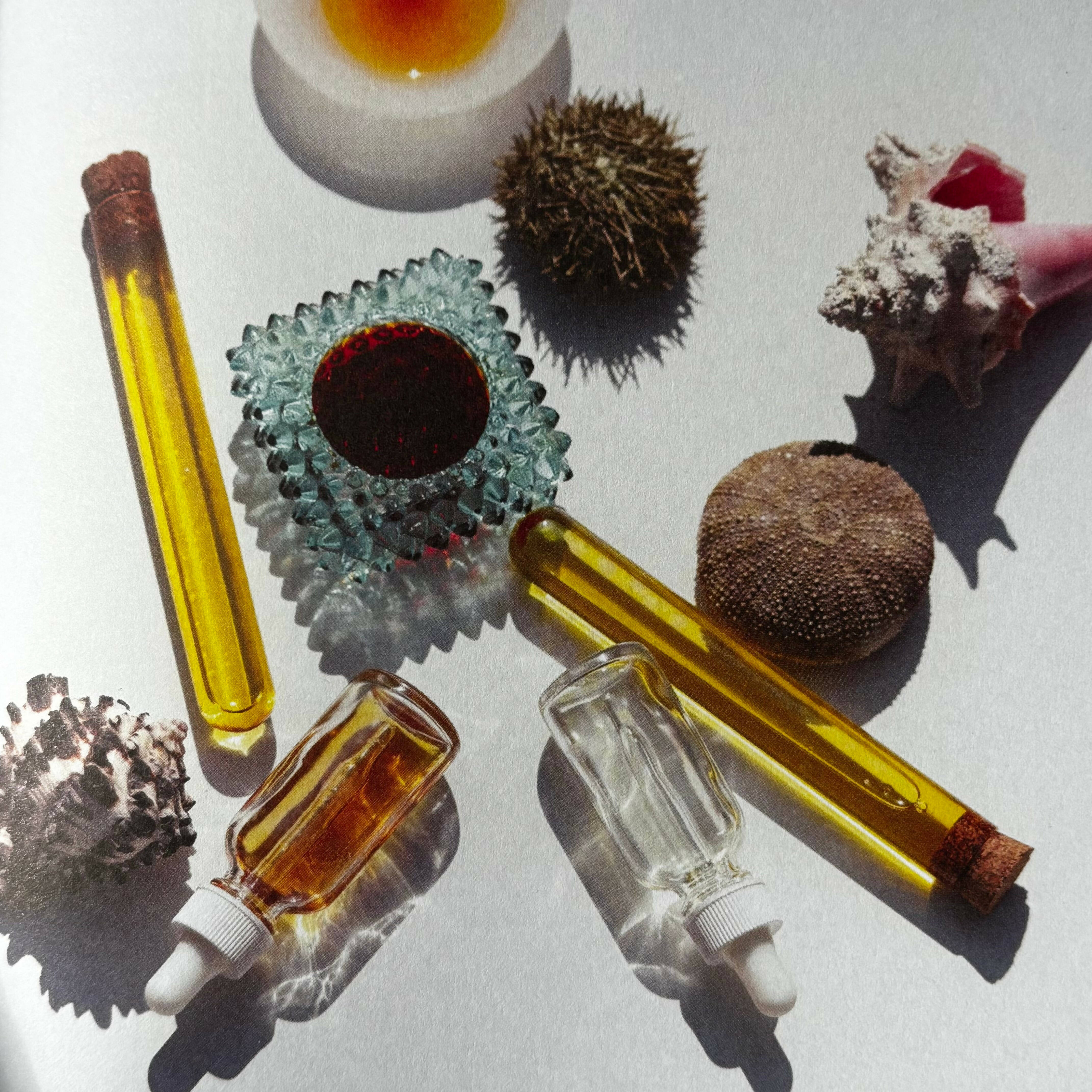 Wild Beauty: Wisdom & Recipes For Natural Self - Care
