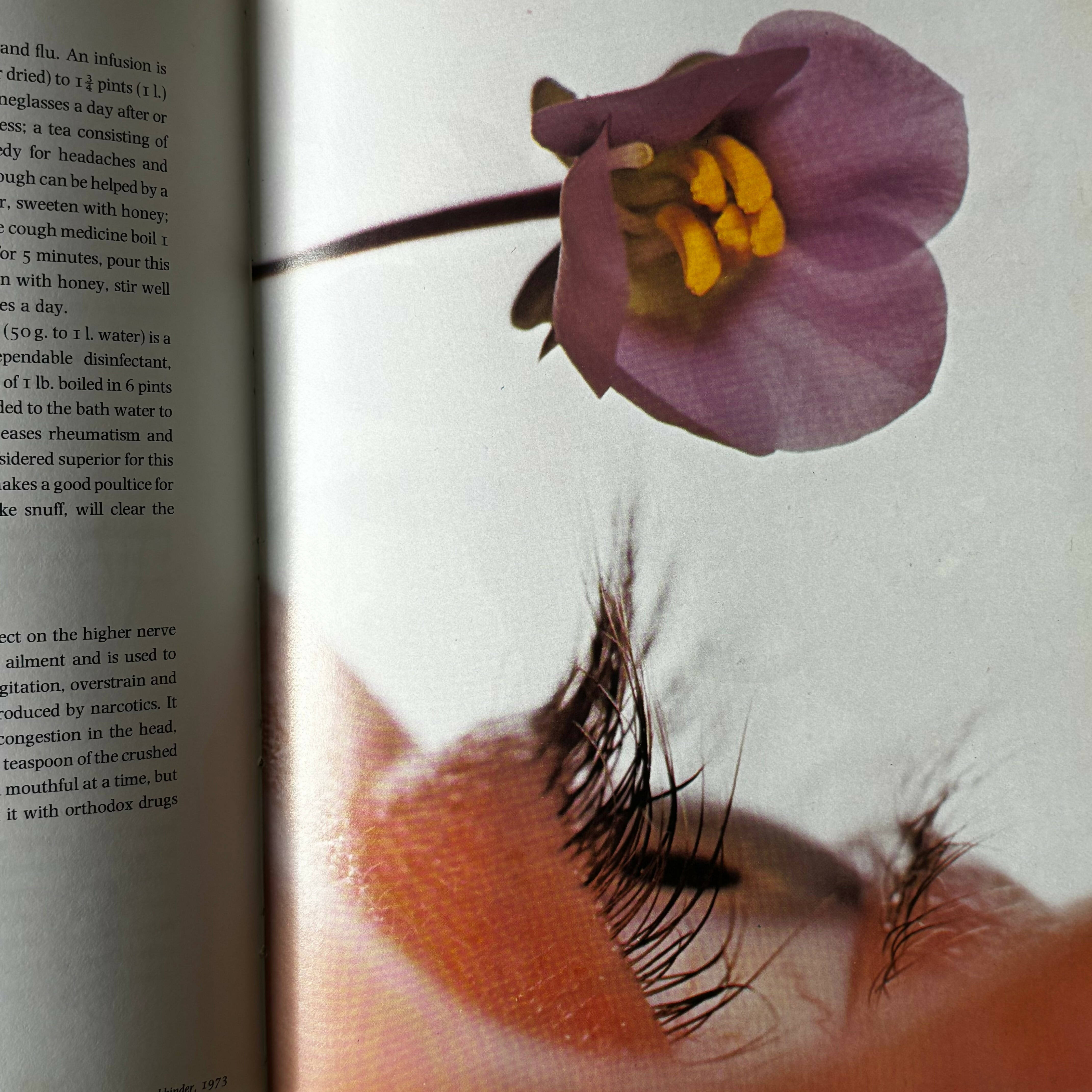 Vogue’s Natural Health & Beauty