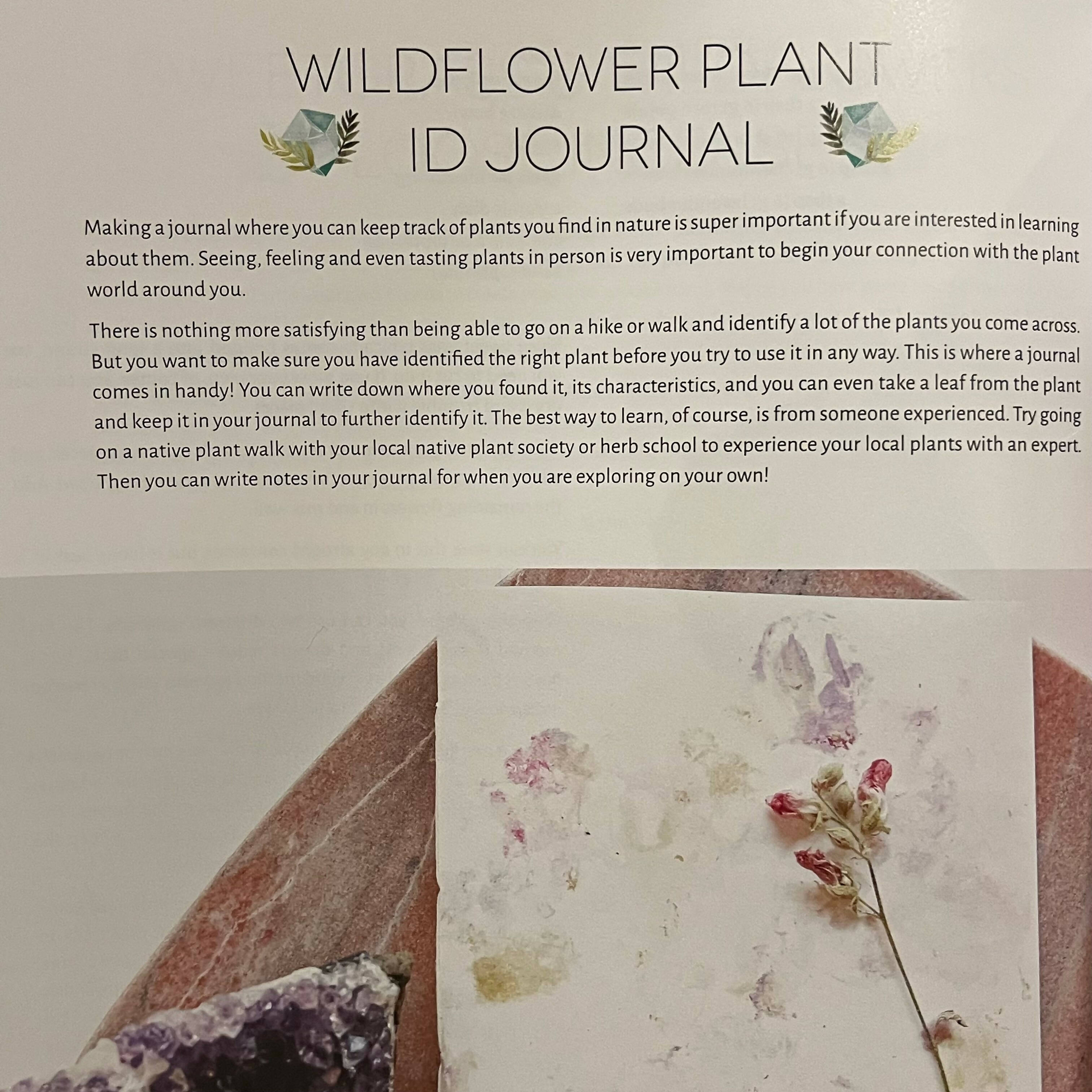 Herbs And Crystals DIY: Use Plant Medicine And Crystal Energy To Heal The Mind And Body