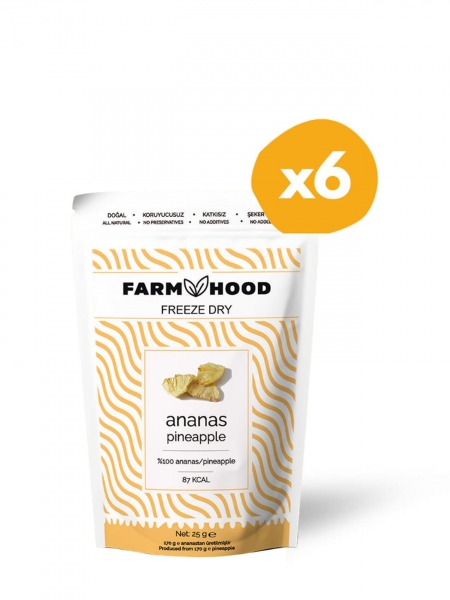 FARMHOOD  6x Freeeze Dried Ananas Cipsi