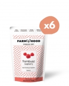 FARMHOOD 6x Freeze Dried Frambuaz Cipsi