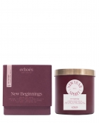 ECHOES CANDLE & SCENT LAB.	 New Year Spirit Çift Fitil Doğal Mum 300 gr